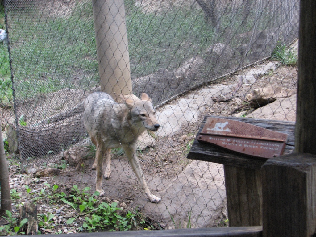 20100206 528.JPG